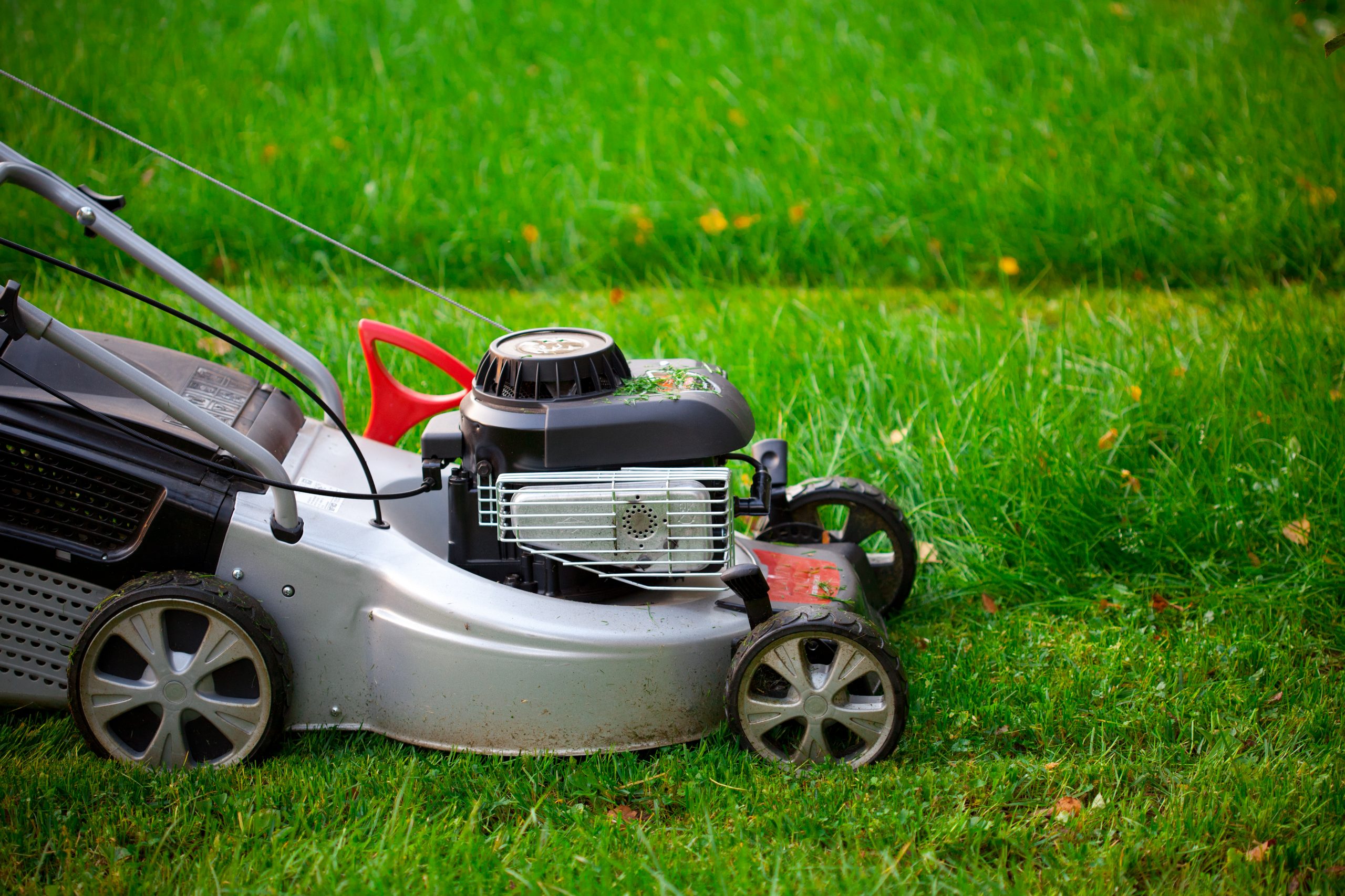 Getting your lawn mowed